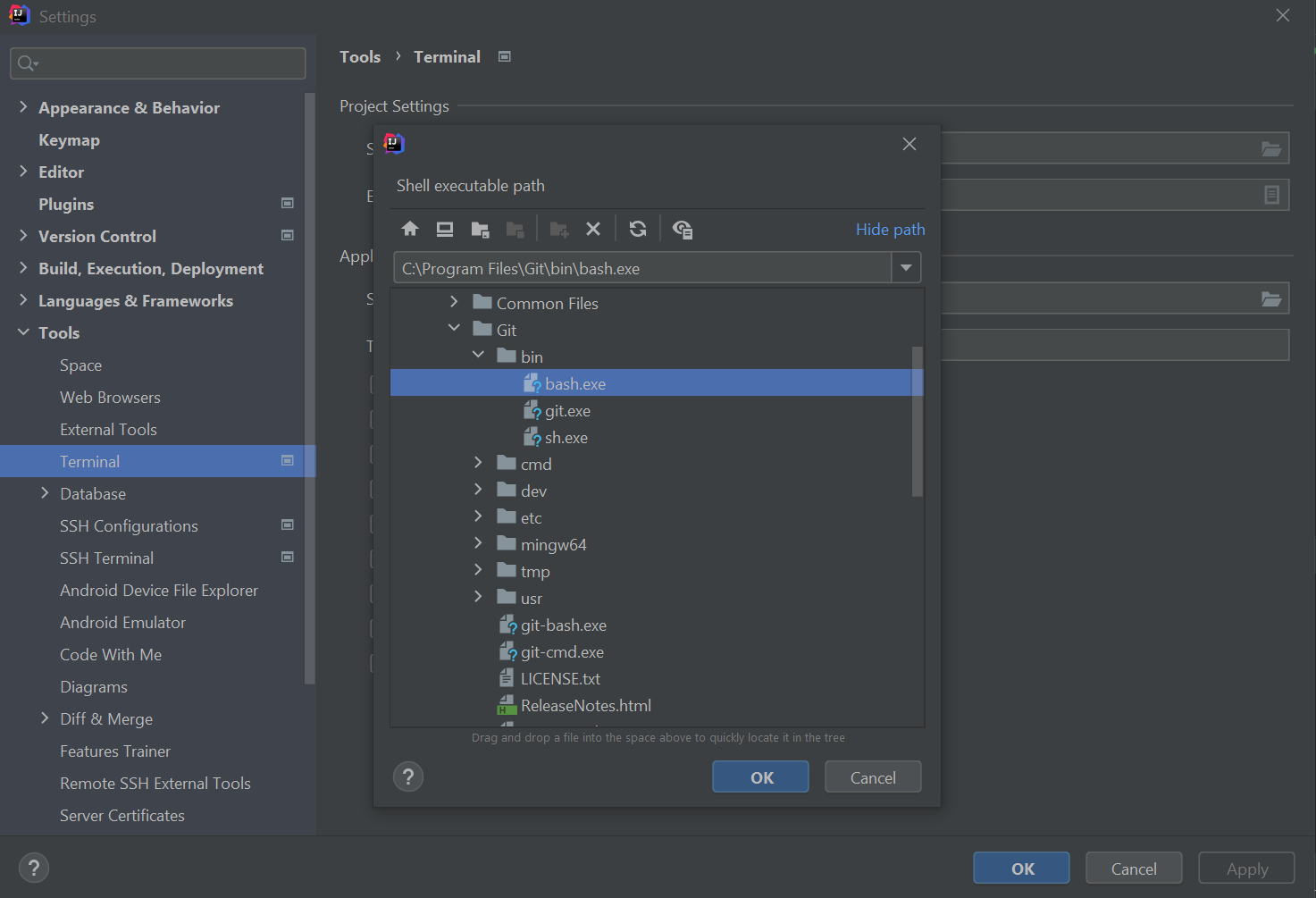 Change Intellij terminal