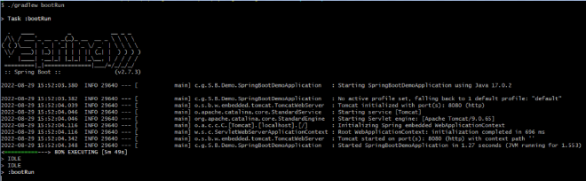Gradle boot run