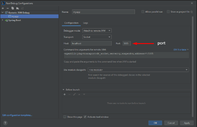 Spring Boot Debug Gradle Console